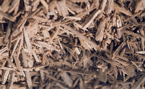 Агаровое дерево Агаровое дерево