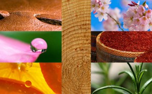 Классификация ароматов Классификация ароматов