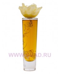 Razji туалетная вода Razji - edt 100ml - Junaid Perfumes